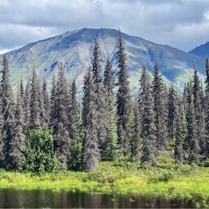 Meet your Posher, Kendra